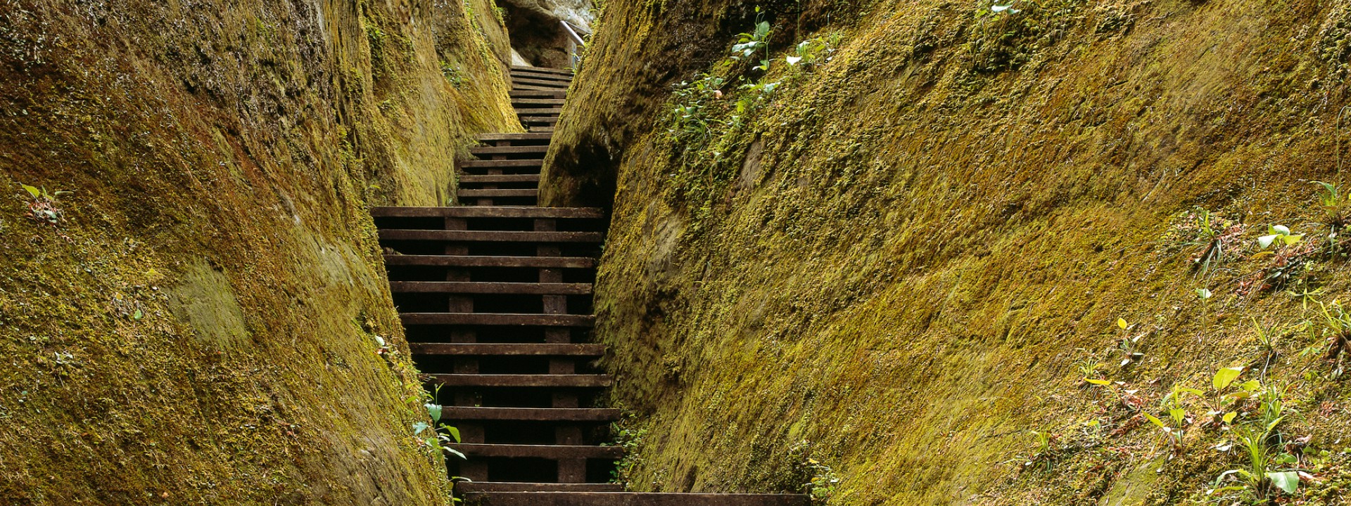 Eichene Treppenstufen zwischen vermoosten Felsflanken